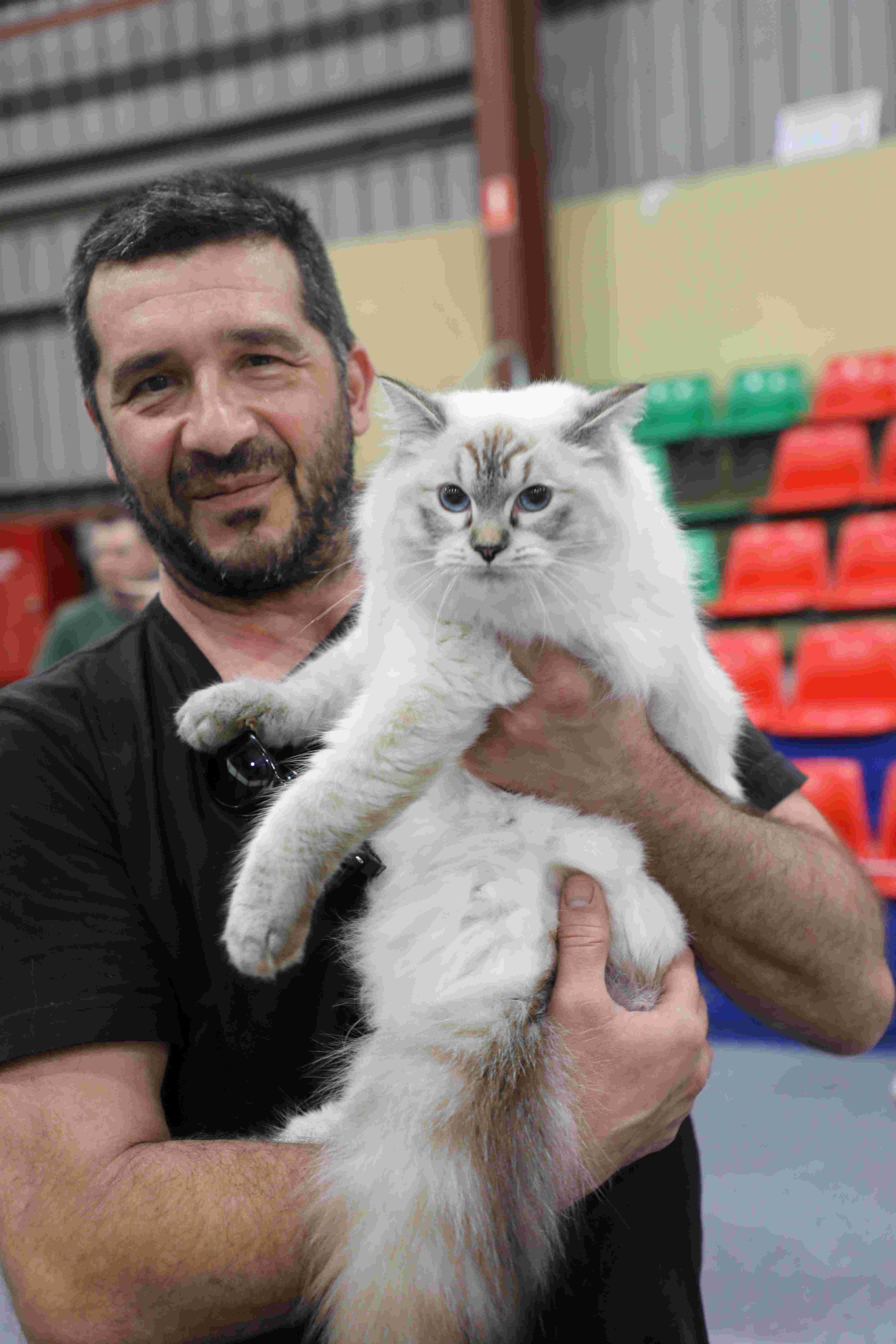 Alexander Economos at this year’s Goulburn Show with one of his daughter’s cats, Lovlidolls Adorabelle. Photo Stuart Carless