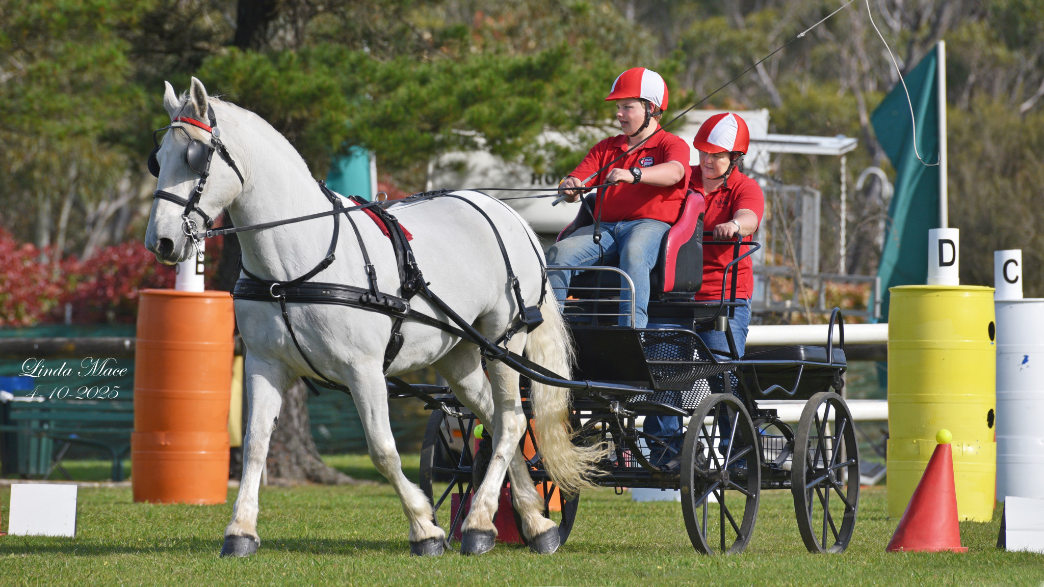 Brayden Sonter, 14 from Exeter driving a mare from Yass.