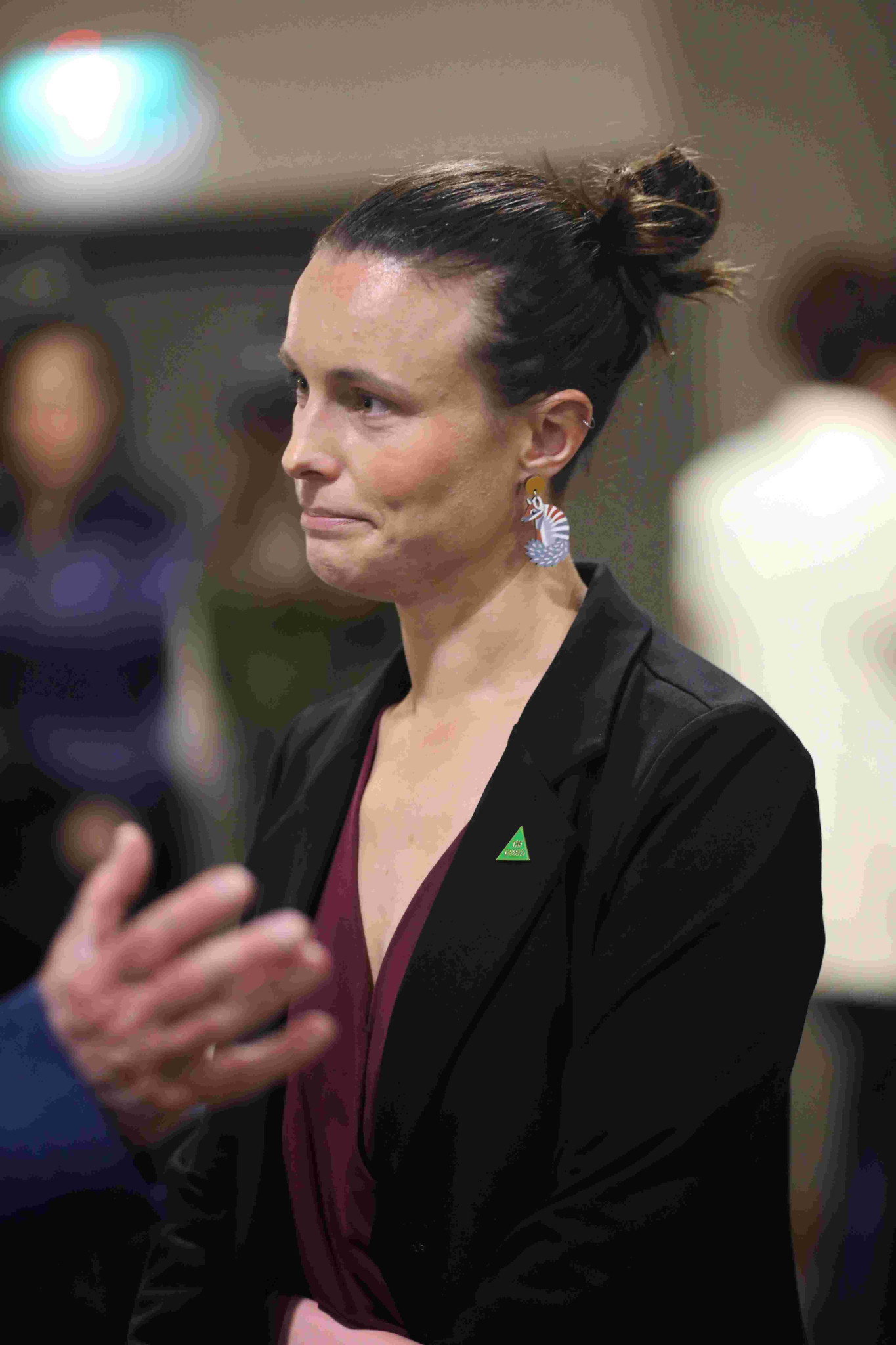Deputy chair of the Select Committee and Greens MLC, Dr Amanda Cohn in Goulburn. Photo Stuart Carless.