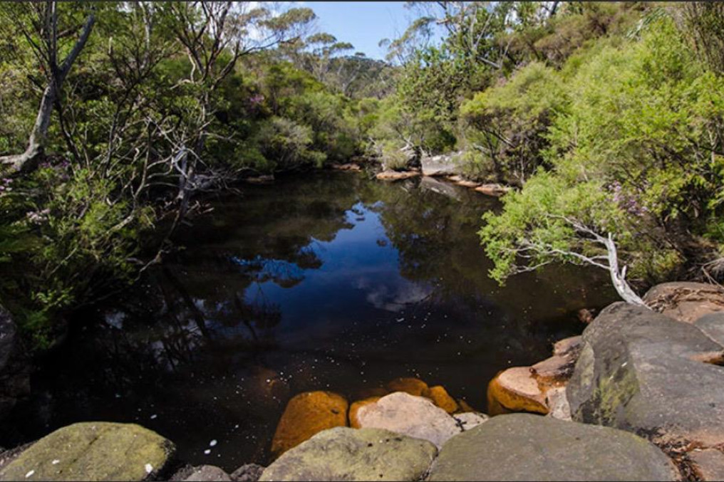 A swimming hole in Barren Grounds which is closed. Supplied.