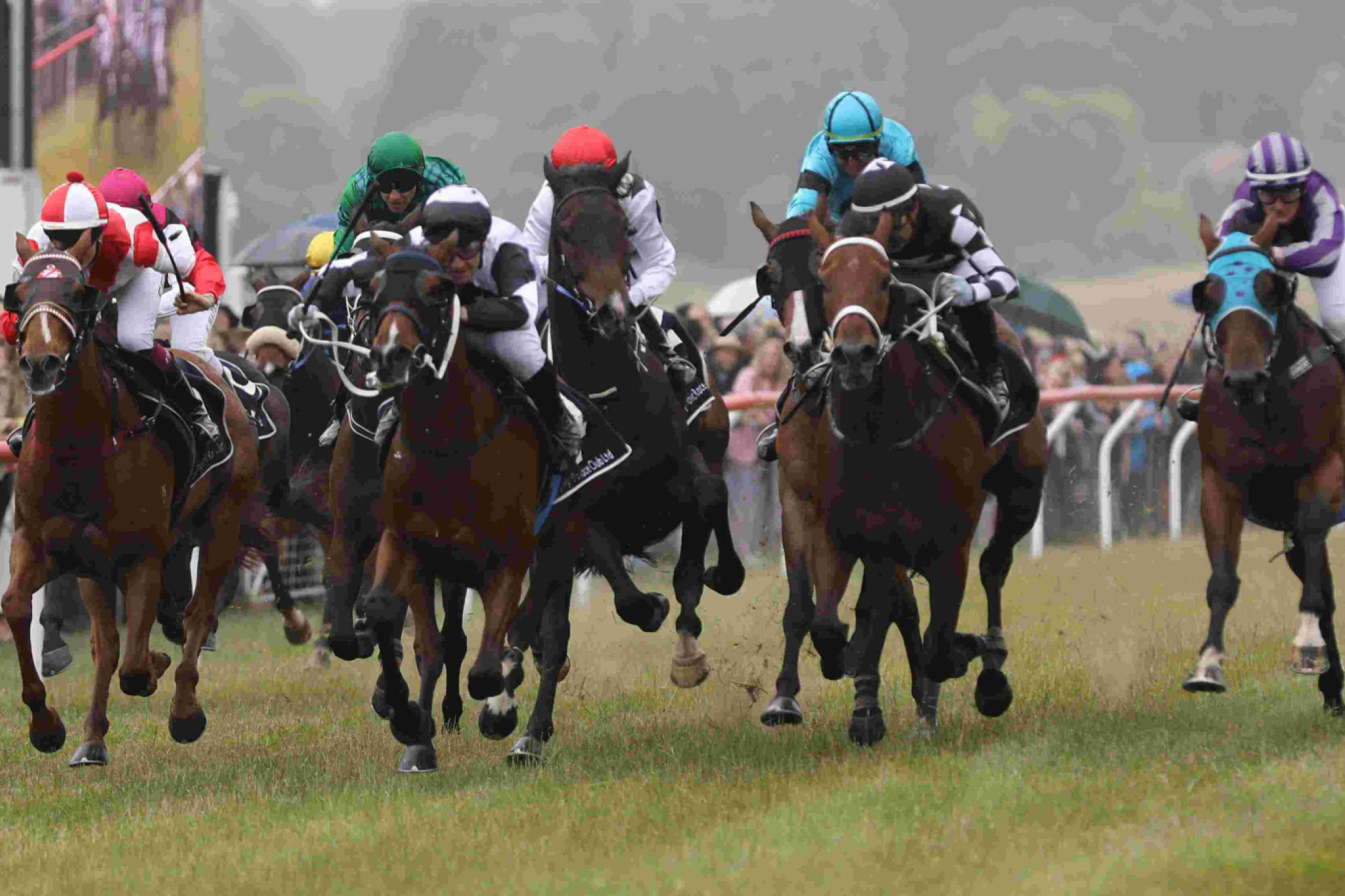 Sebastian Galea rides Valentine John to victory in the 2025 Bong Bong Cup. Picture Stuart Carless.