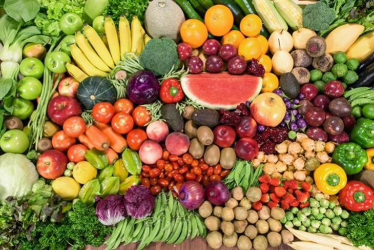 Healthy food is on the menu at Wollondilly Shire Council