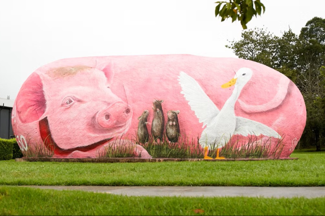 The 'Pig Potato' as it is now dubbed will be the feature in this weekend's Robertson Country Fair, celebrating the 30th anniversary of the movie BABE. (Photo: robertsondiscovermore.com)
