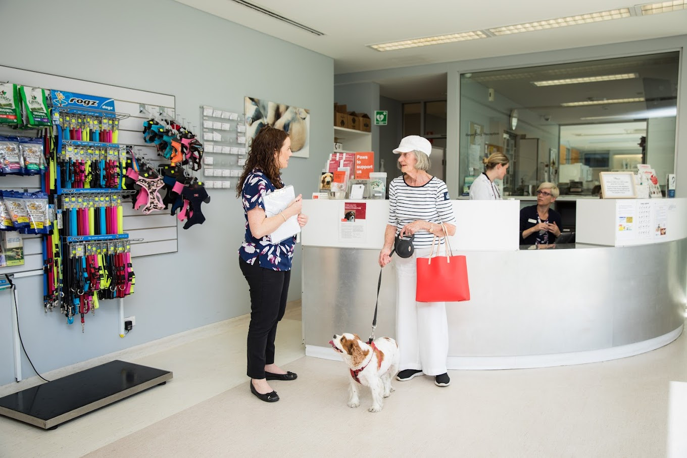 The University Veterinary Teaching Hospital has issued a warning. Supplied UVTHS.